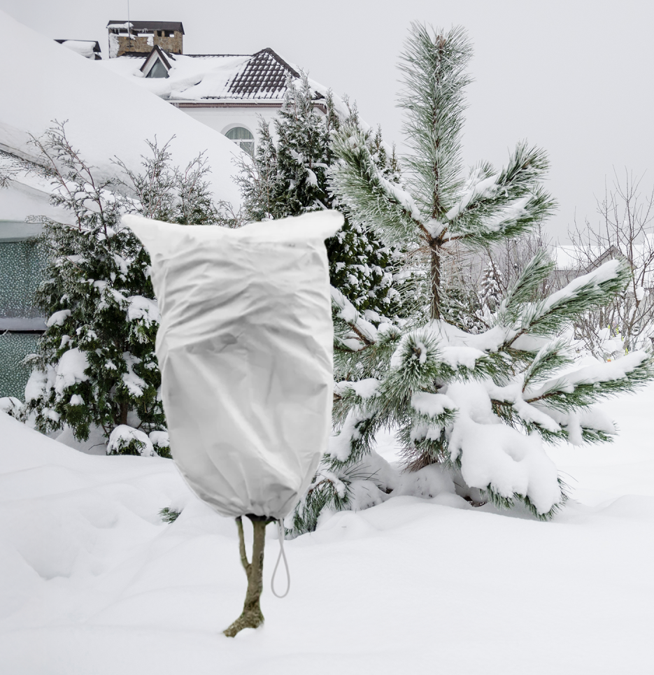 Protective Plant Cover, 50gsm Sack with Cord, Diameter: 64 cm, Size: 1m × 1.6m