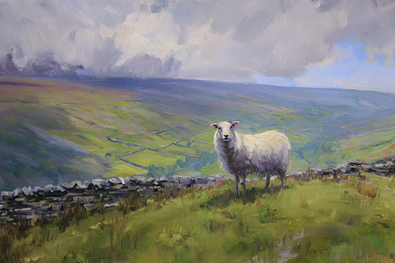 Sheep on Yorkshire Canvas
