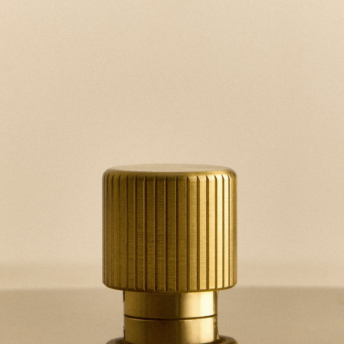 Single Rotary Wall Dimmer in Brass