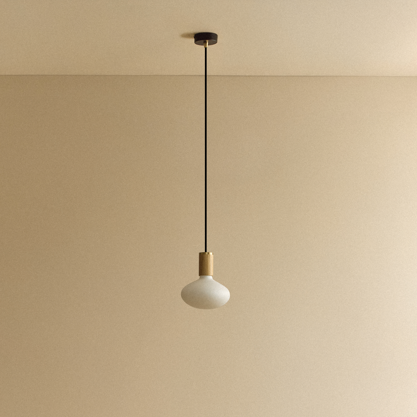 Oval Pendant Light in Oak