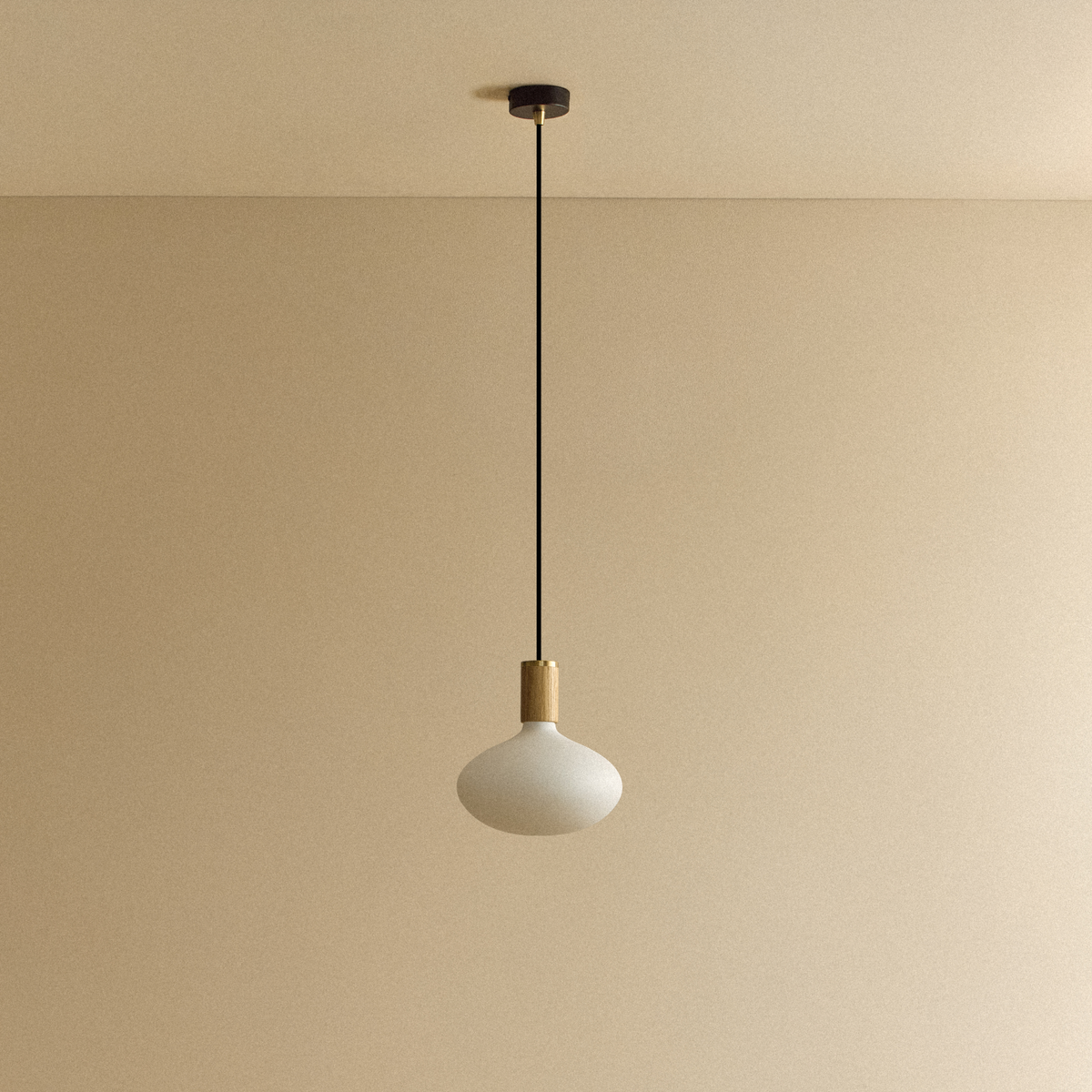 Oval II Pendant Light in Oak