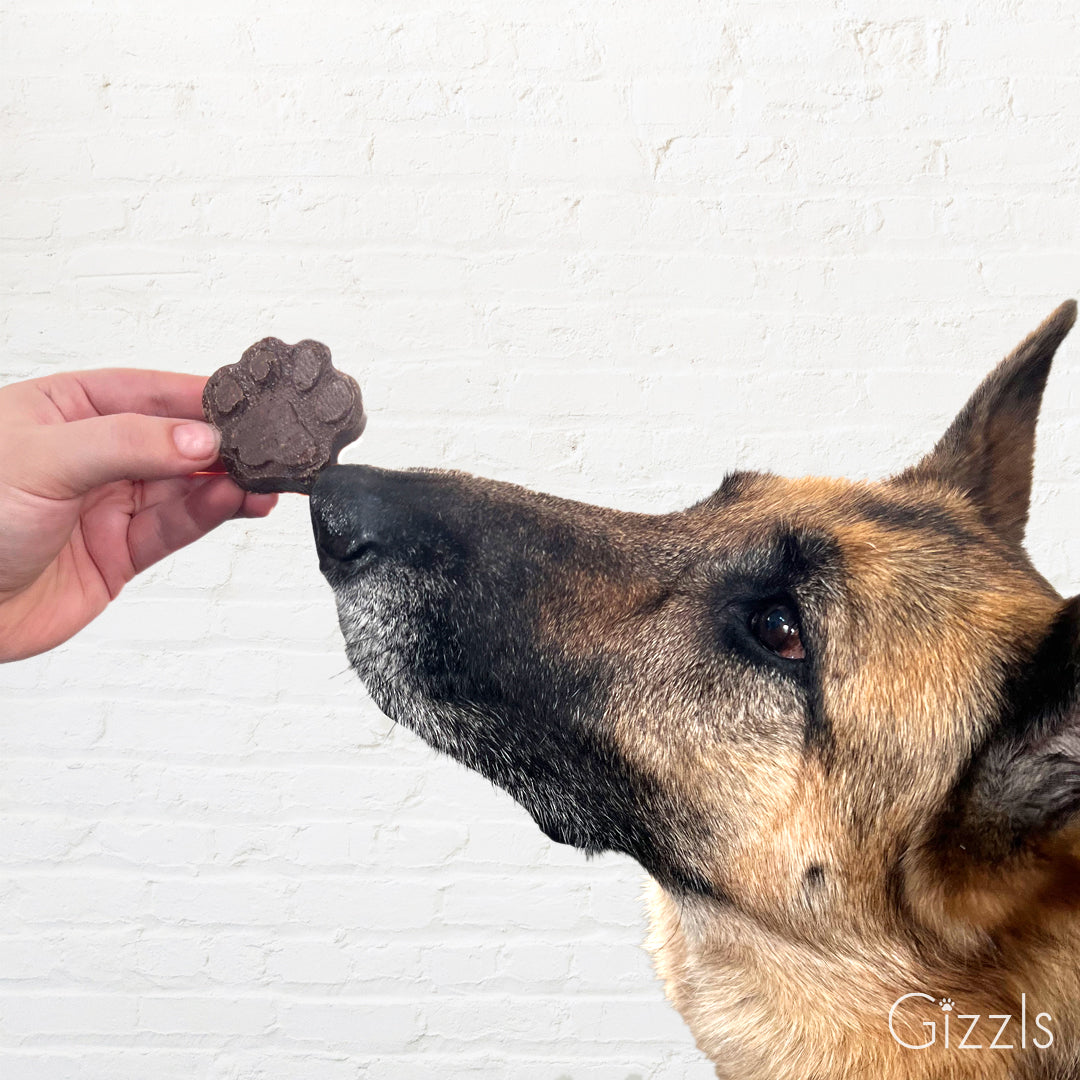 Zoomie Bites – Peanut Butter & Banana Dog Treats