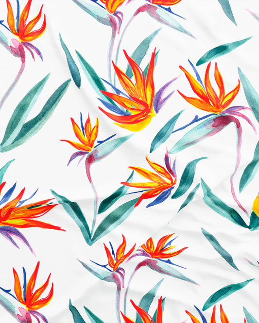 Men's Lounge Shorts - Strelitzia