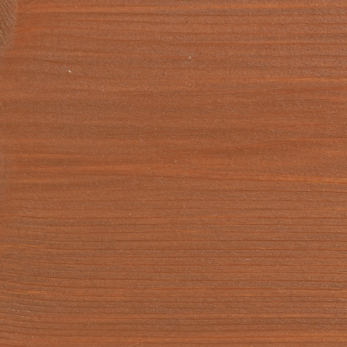 Teak - Wood Stain & Protect