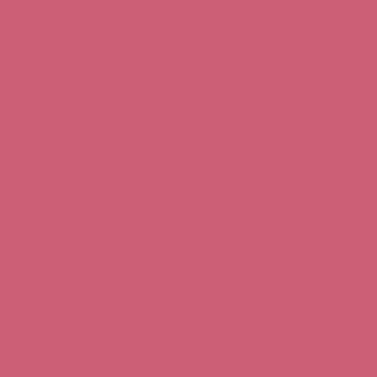 Fuchsia Pink - Royal Exterior Paint