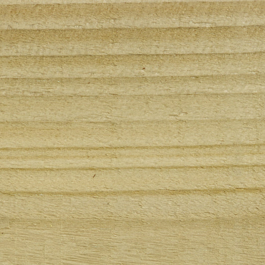 Clear - Stable Coat Paint
