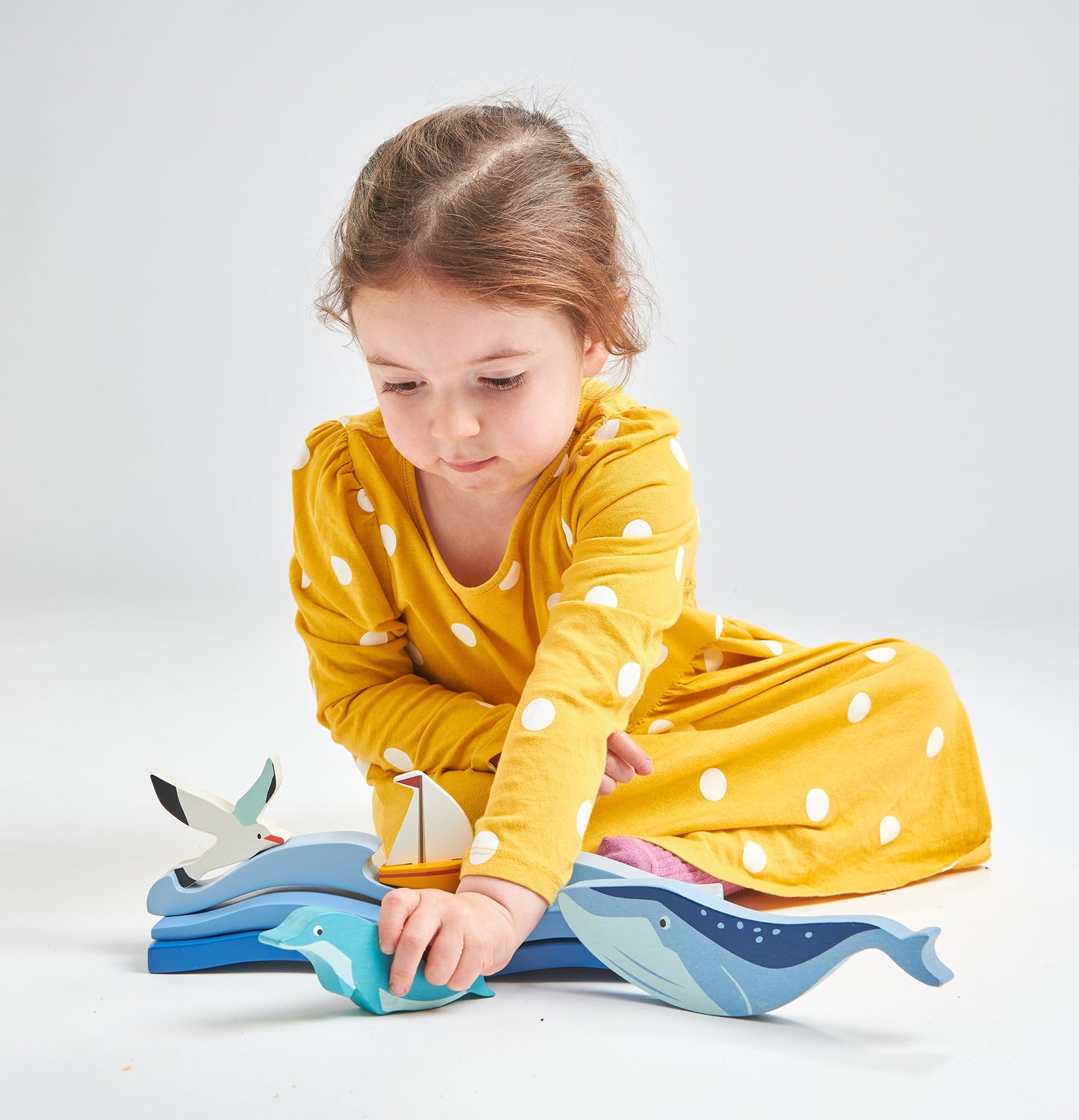 Coastal Animals - Dolphin