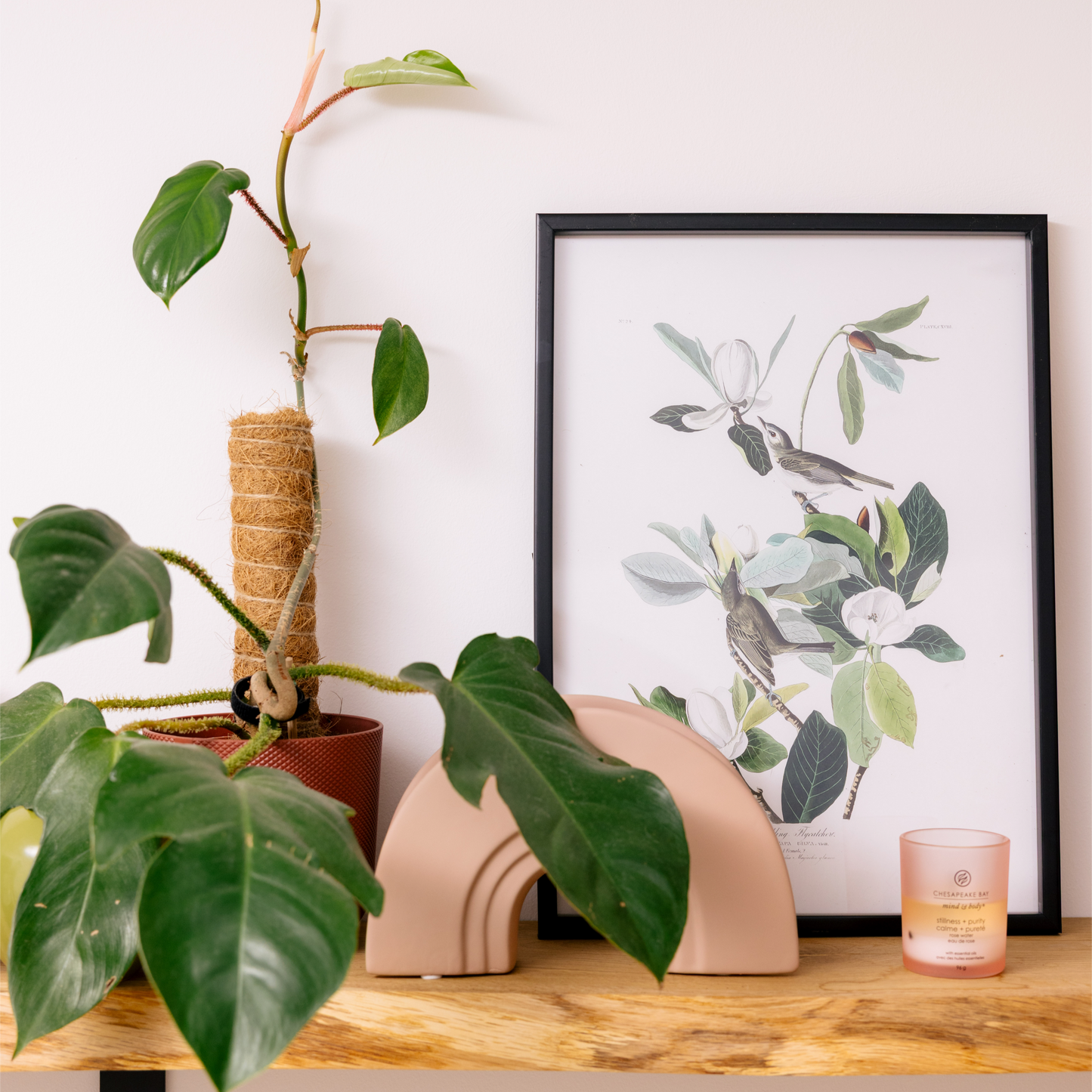 Warbling Flycatcher Print