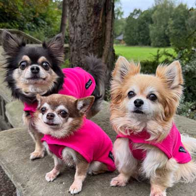Tiny Toastie Water Repellent Fleece Dog Coat by My Chi and Me Hot Pink