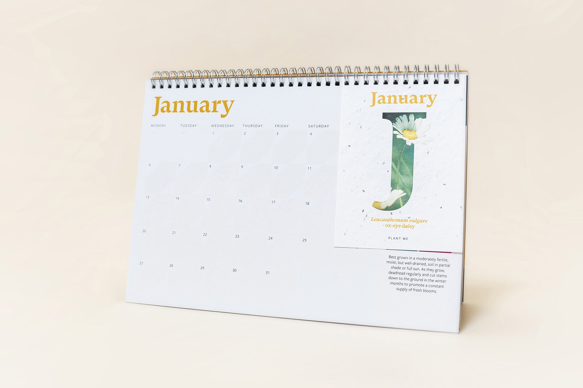 The Foalyard - RHS & Willsow Flower Edition A4 and A5 desk calendars 12 sheets of plantable seed paper January