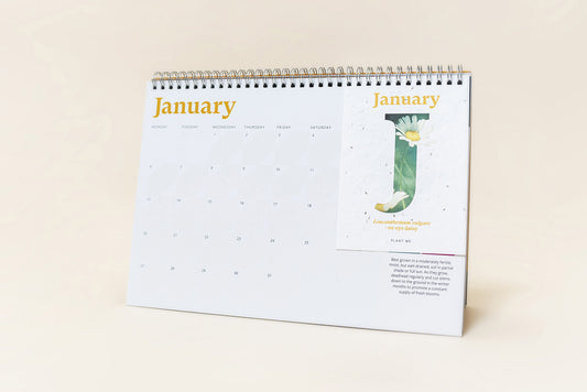 The Foalyard - RHS & Willsow Flower Edition A4 and A5 desk calendars 12 sheets of plantable seed paper January