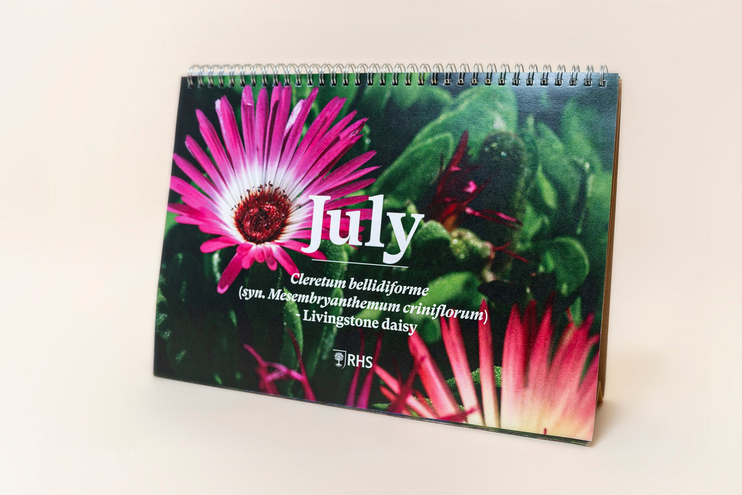 The Foalyard - RHS & Willsow Flower Edition A4 and A5 desk calendars 12 sheets of plantable seed paper July