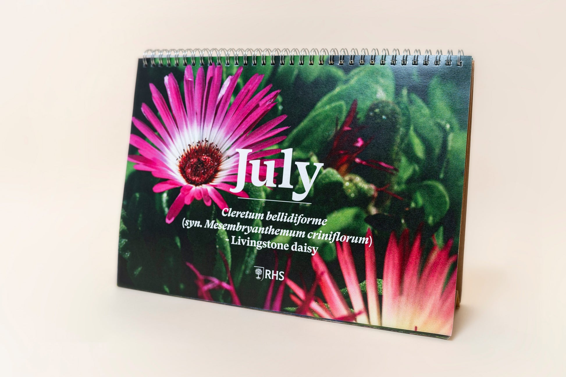 The Foalyard - RHS & Willsow Flower Edition A4 and A5 desk calendars 12 sheets of plantable seed paper July