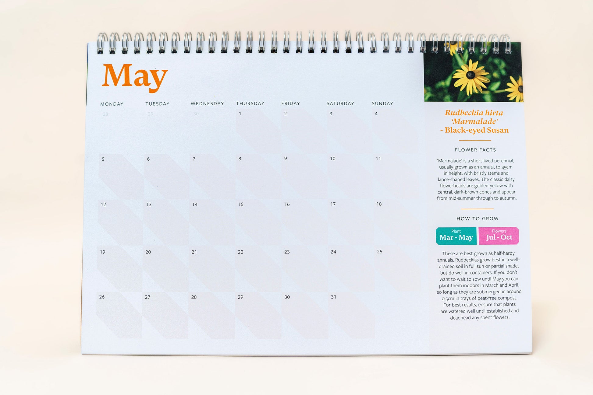 The Foalyard - RHS & Willsow Flower Edition A4 and A5 desk calendars 12 sheets of plantable seed paper May