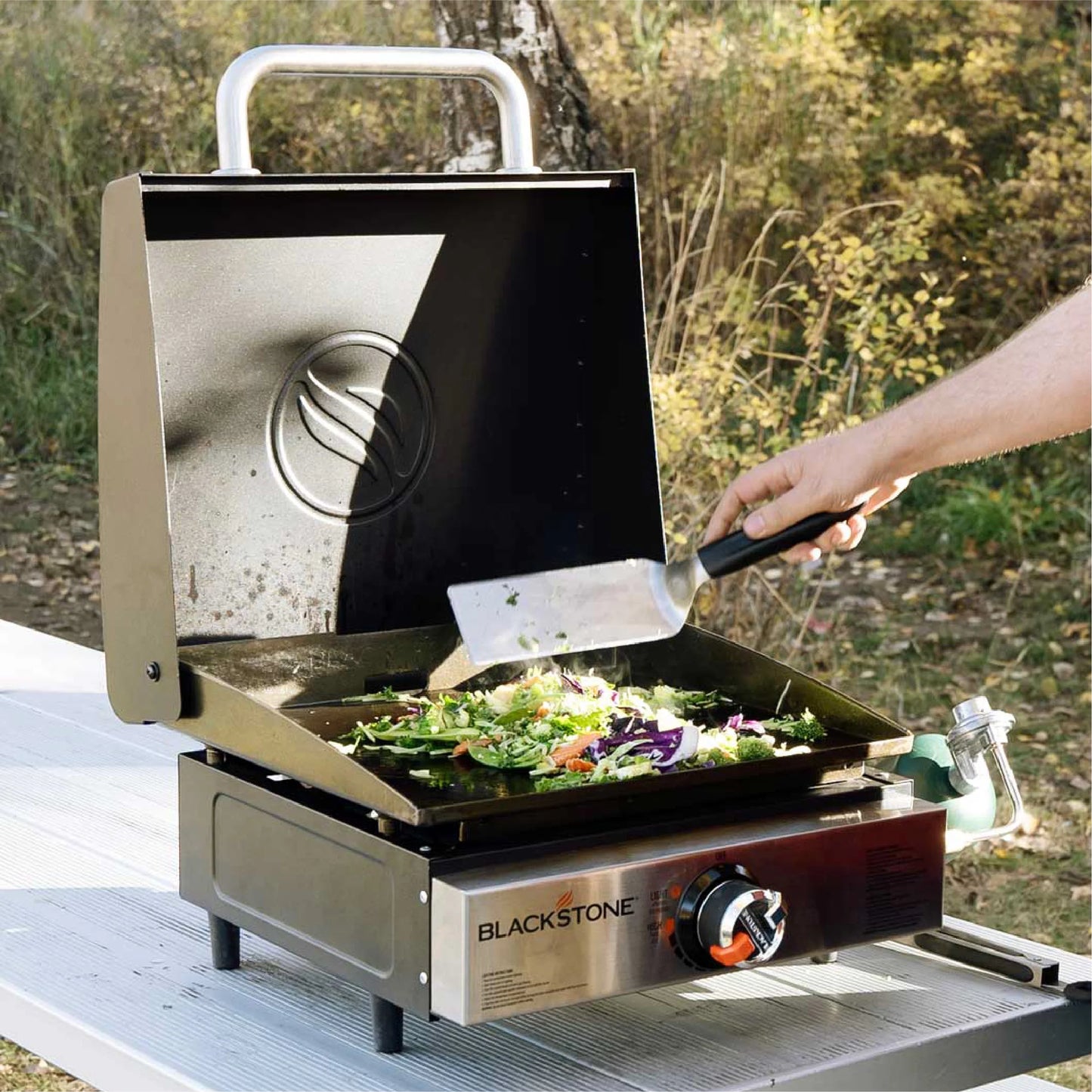 TheFoalyard Blackstone Original 17-inch Tabletop Griddle with Hood - BBQ outdoor cooking