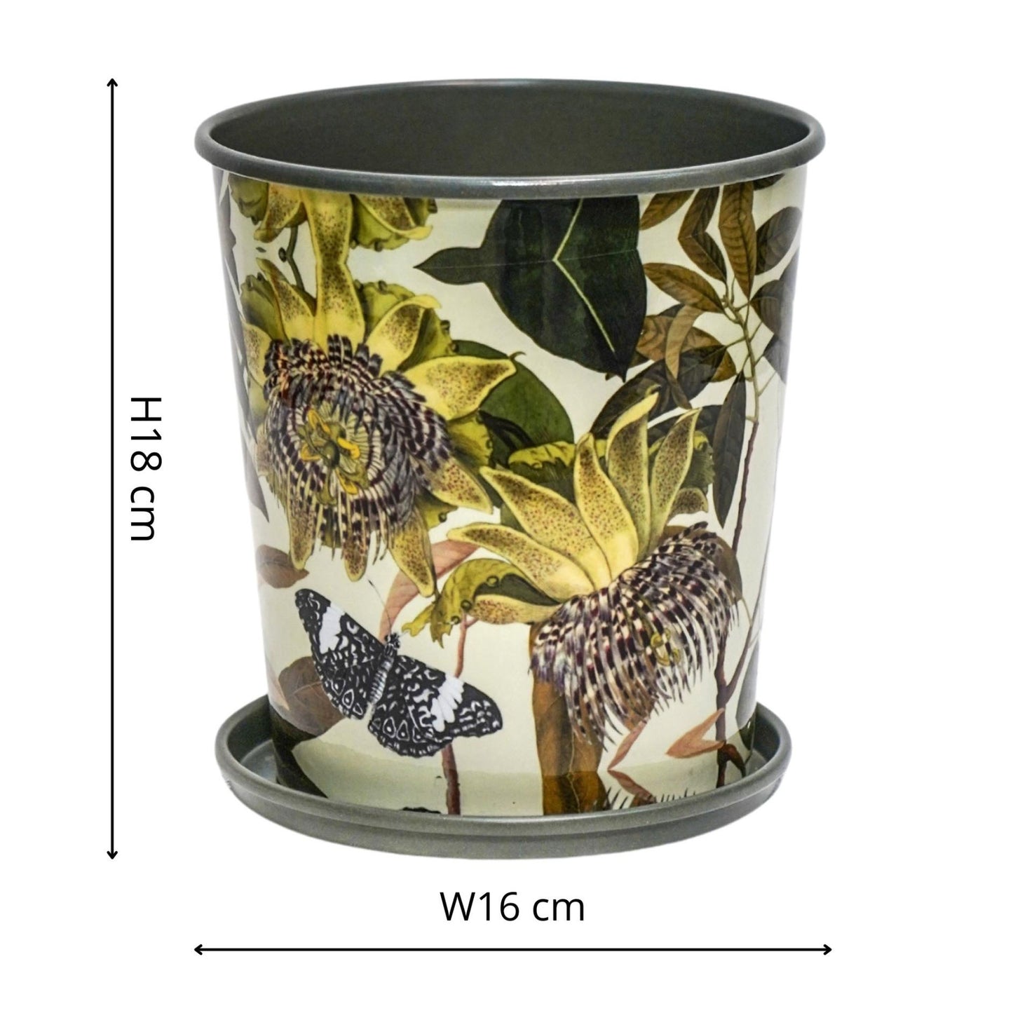 TheFoalyard Ivyline Kew Royal Botanic Gardens Botanical Retreat Planter With Saucer 16cm dimensions