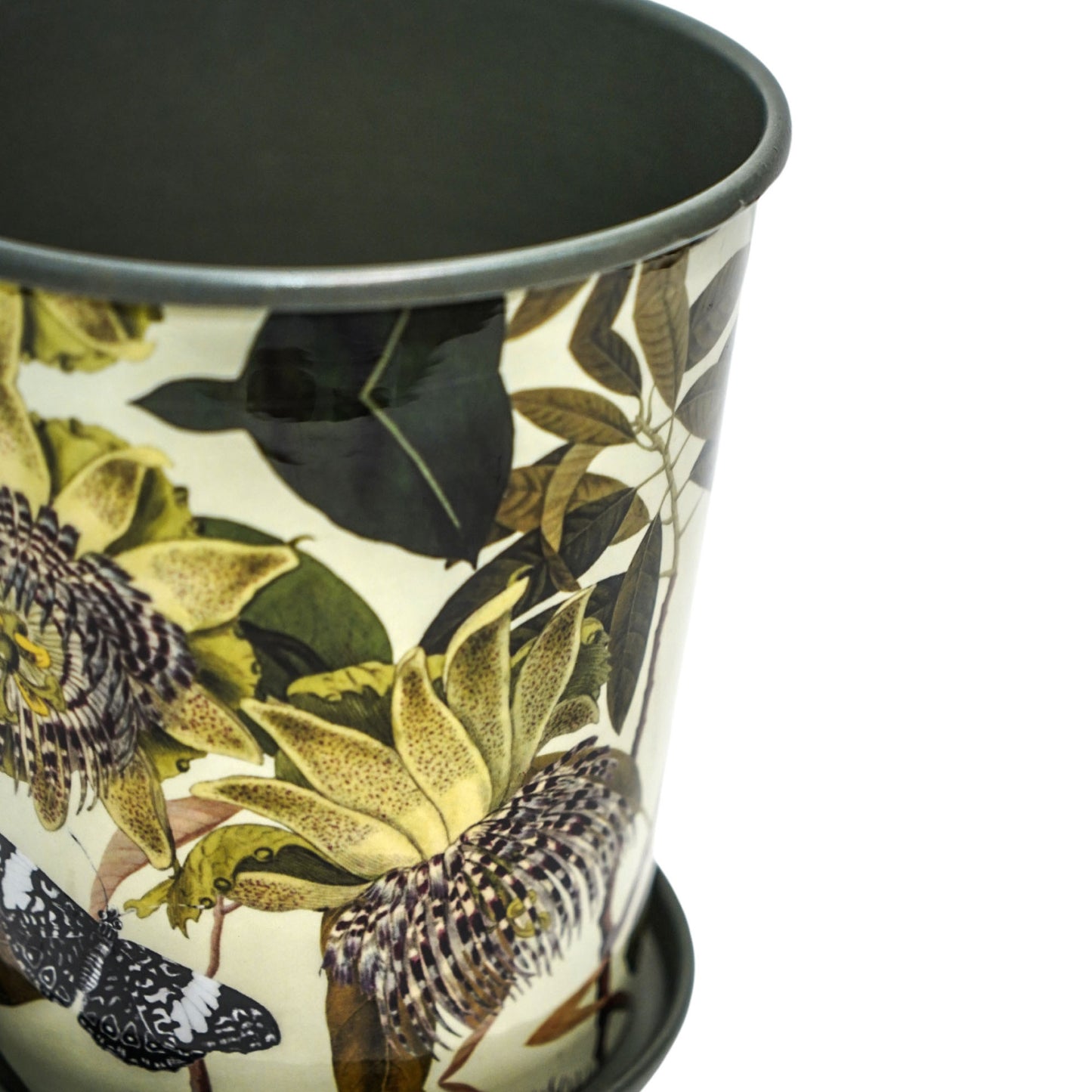 TheFoalyard Ivyline Kew Royal Botanic Gardens Botanical Retreat Planter With Saucer close up