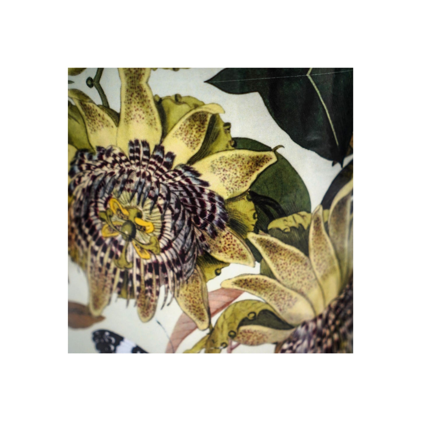 TheFoalyard Ivyline Kew Royal Botanic Gardens Botanical Retreat Planter With Saucer detail
