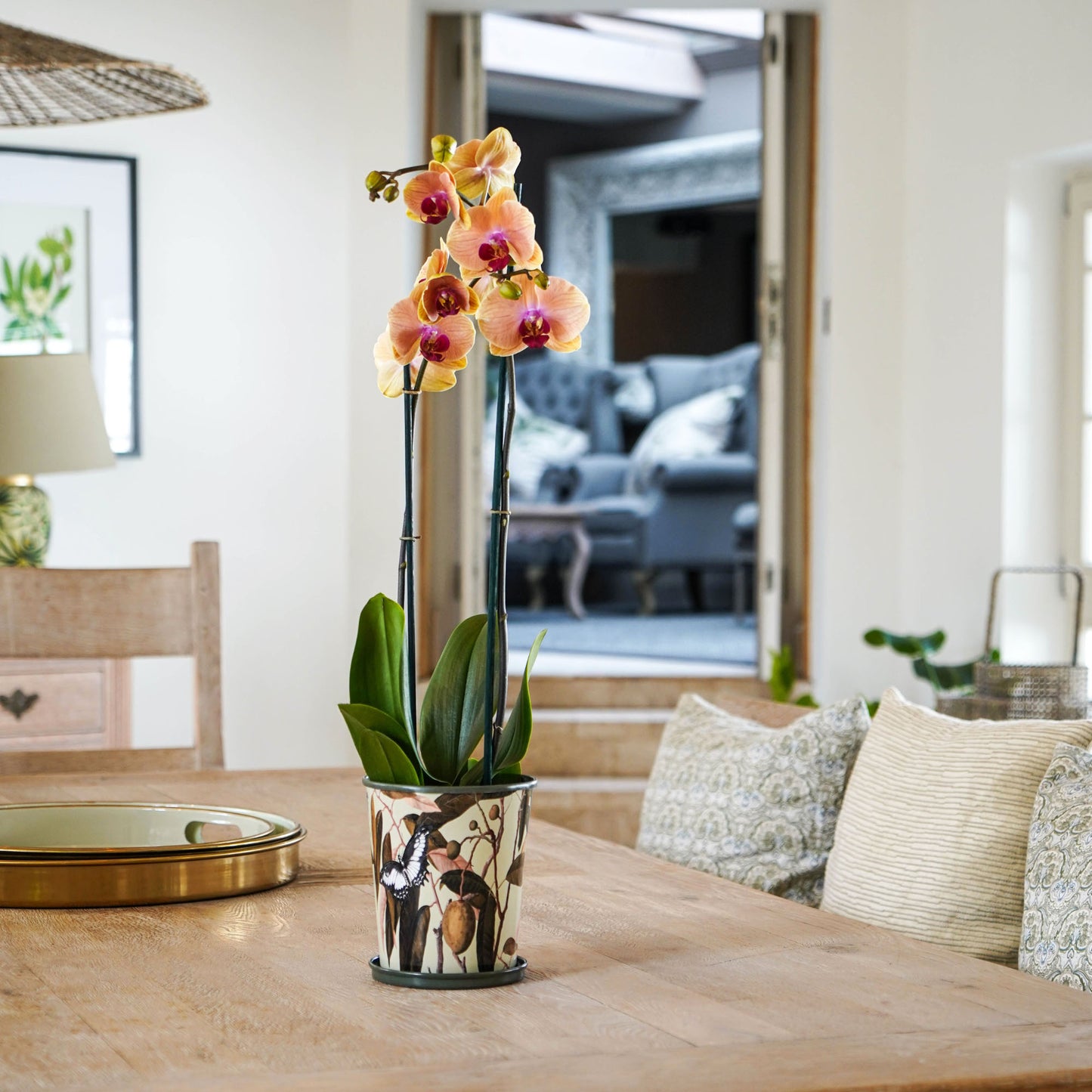 TheFoalyard Ivyline Kew Royal Botanic Gardens Botanical Retreat Planter With Saucer orchid