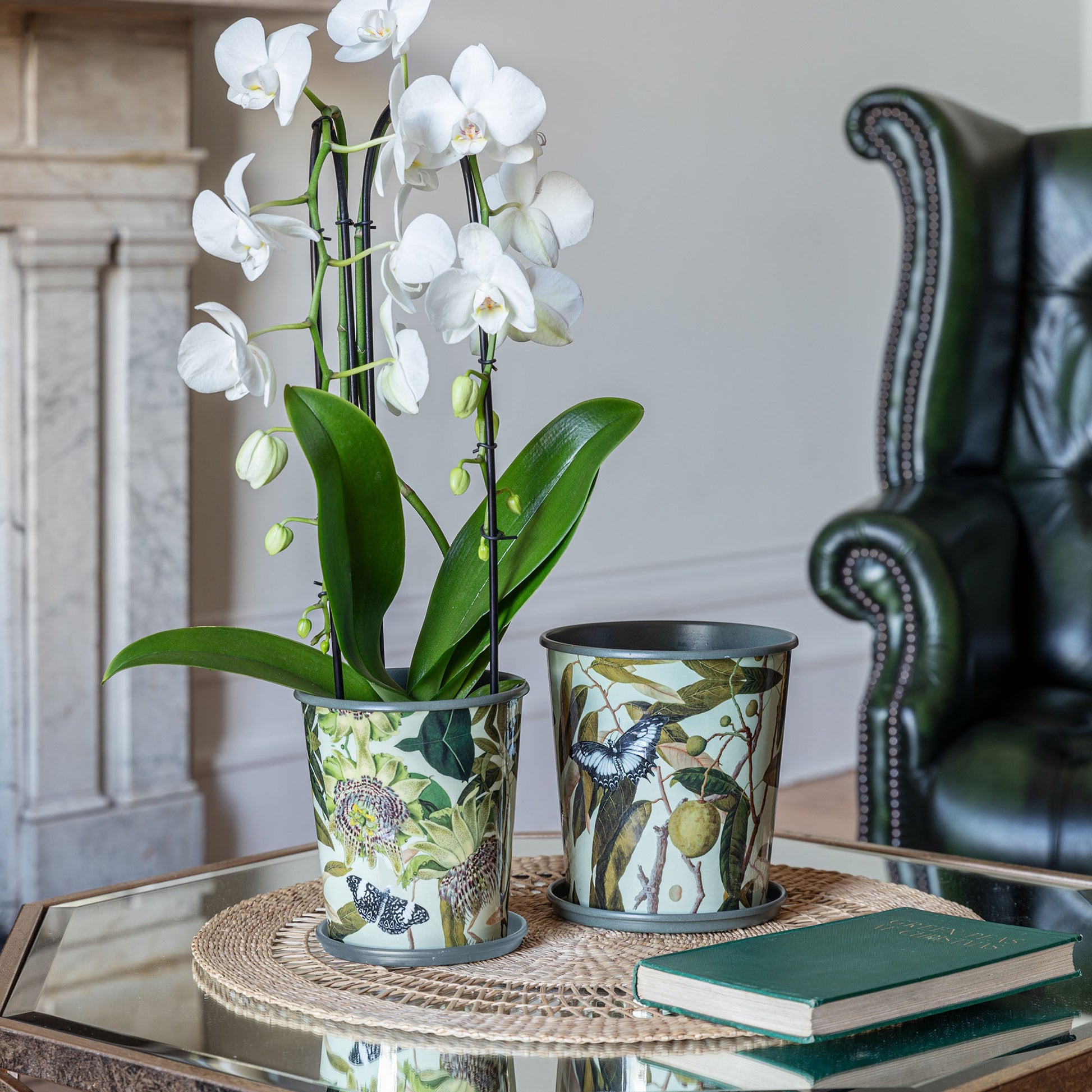 TheFoalyard Ivyline Kew Royal Botanic Gardens Botanical Retreat Planters With Saucer white orchid
