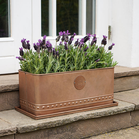 TheFoalyard Ivyline Kew Royal Botanic Gardens Aged Copper Regency Outdoor Trough 43cm