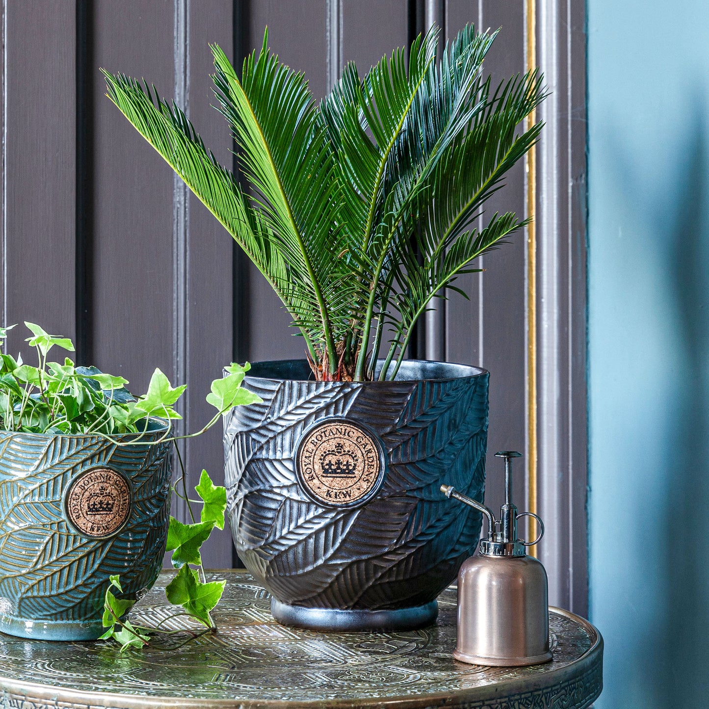 TheFoalyard Ivyline Kew Royal Botanic Gardens Leaf Embossed Charcoal Cork Planter