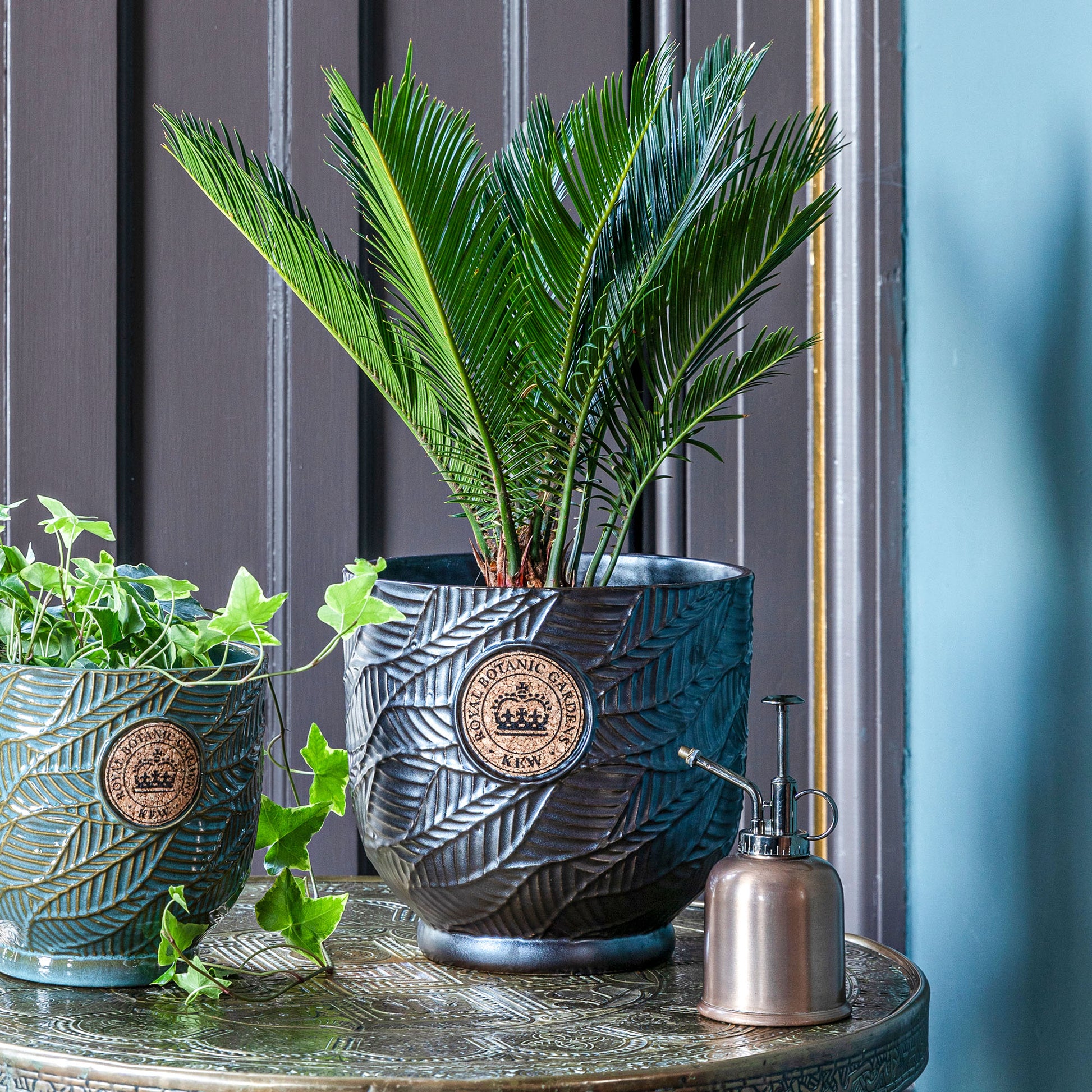 TheFoalyard Ivyline Kew Royal Botanic Gardens Leaf Embossed Charcoal Cork Planter