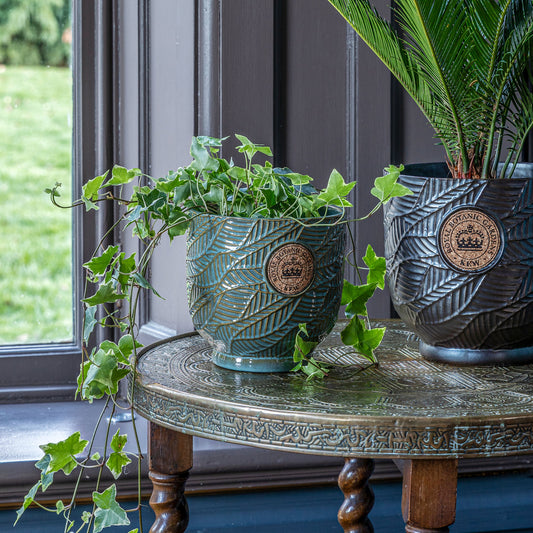 TheFoalyard Ivyline Kew Royal Botanic Gardens Leaf Embossed Moss Cork Planter