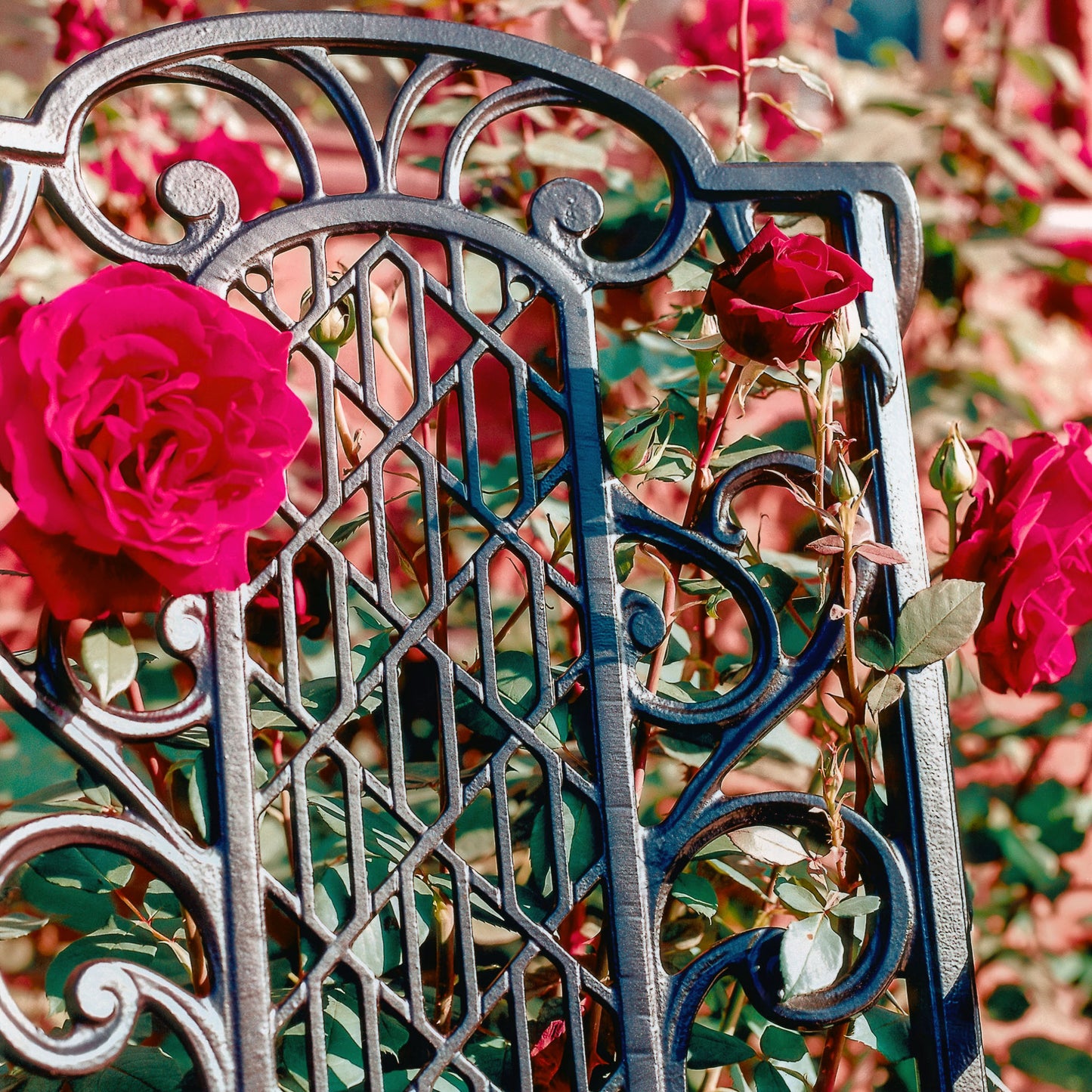 The Foalyard Jardine Leisure Aluminium Victorian Diner Chair detail