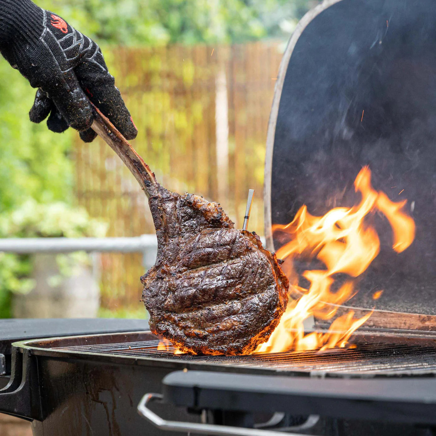 TheFoalyard MEATER Pro Wireless Smart Meat Thermometer - open fire T-bone