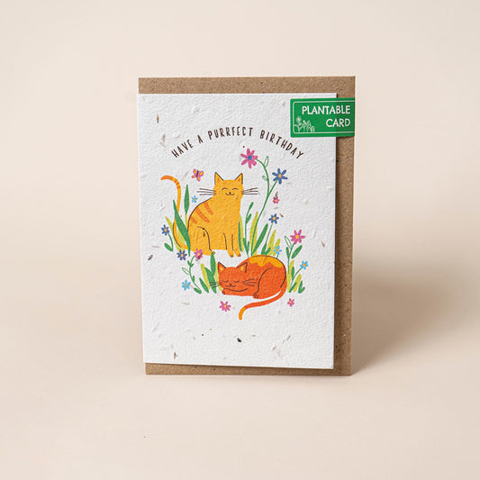 TheFoalyard Willsow Have a Purrfect Birthday Wildflowers Plantable Card
