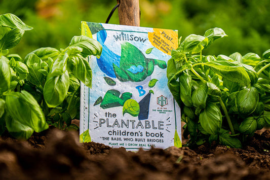 TheFoalyard Willsow The Basil Who Built Bridges The Plantable Basil Childrens Book outdoor