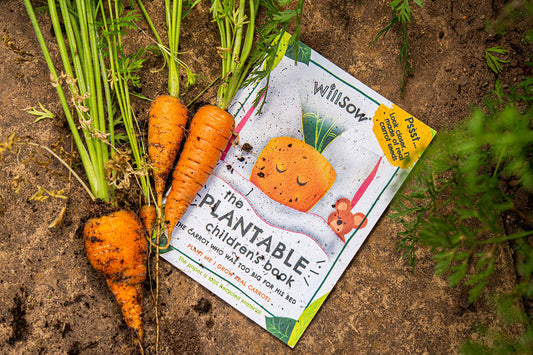 TheFoalyard Willsow The Carrot Who Was Too Big For His Bed The Plantable Carrots Childrens Book ground
