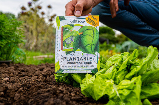 TheFoalyard Willsow The Lettuce Who Wanted a New Look The Plantable Lettuces Childrens Book outdoor