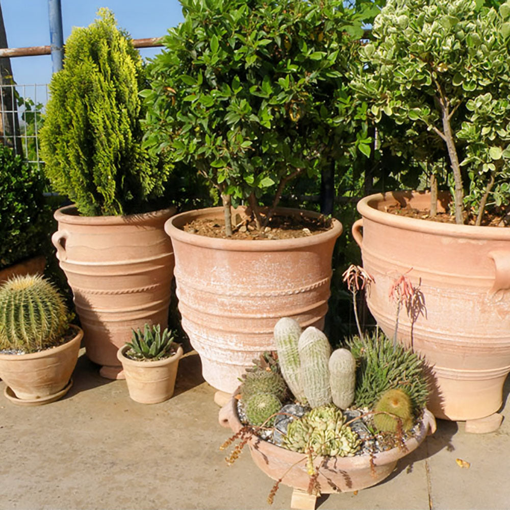 The Foalyard - Exara Cretan Terracotta Large Frost-Proof Planter H75 x Ø75cm Greek high quality ceramics - 50 years guarantee - The Terracotta Pot Company - Cretan Ceramics by Andonis Araviakis
