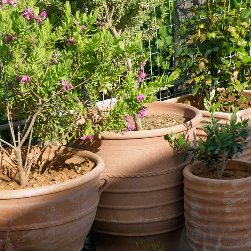 The Foalyard - Exara Cretan Terracotta Large Frost-Proof Planter H75 x Ø75cm high quality ceramics from Greece - 50 years guarantee - The Terracotta Pot Company - Cretan Ceramics by Andonis Araviakis