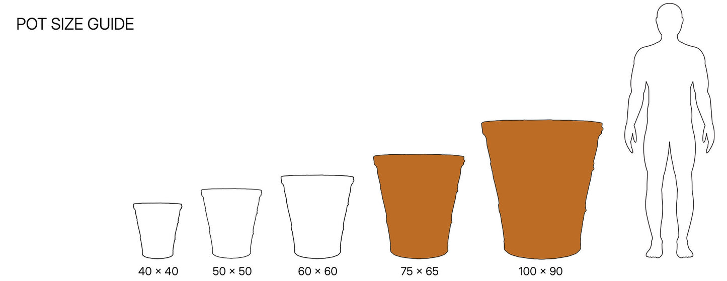 The Foalyard - Heraklion Cretan Terracotta Large Frost-Proof Planters size guide