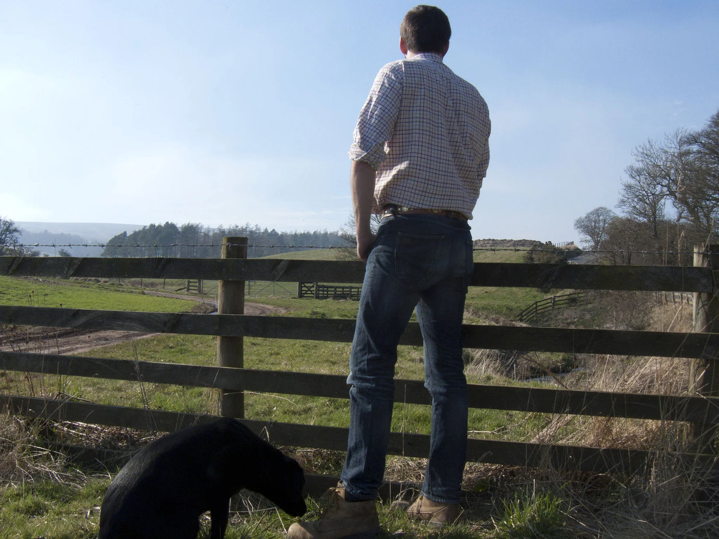 Boult The Countryman's Shotgun Cartridge Leather Belt