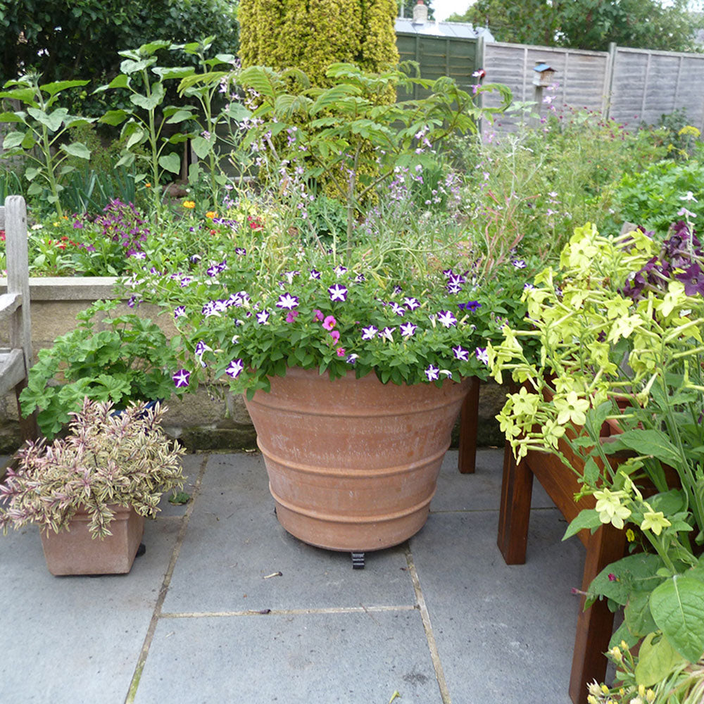 The Foalyard - Monachou Cretan Terracotta Large Frost-Proof Planters from H75 x D75cm Robert Webster - 50 years guarantee - The Terracotta Pot Company - Cretan Ceramics by Andonis Araviakis