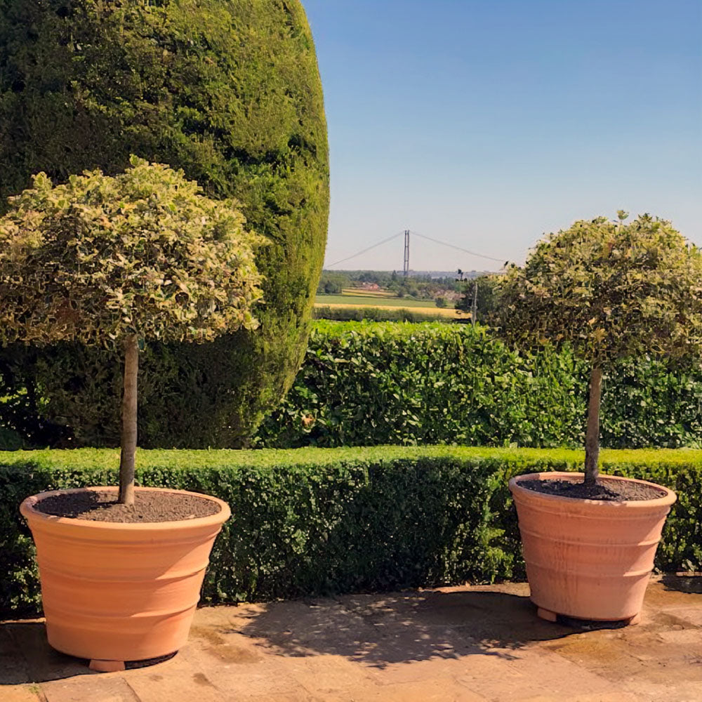 The Foalyard - Monachou Fardipati Cretan Terracotta Large Frost-Proof Planters from H50 x D70cm high quality home garden Mediterranean pots Healey - 50 years warranty - The Terracotta Pot Company - Cretan Ceramics by Andonis Araviakis