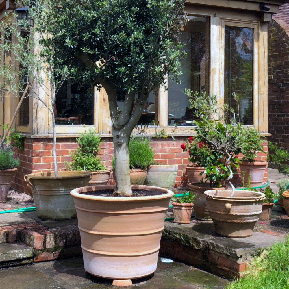 The Foalyard - Monachou Fardipati Cretan Terracotta Large Frost-Proof Planters from H50 x D70cm high quality home garden Mediterranean pots for big trees - 50 years warranty - The Terracotta Pot Company - Cretan Ceramics by Andonis Araviakis
