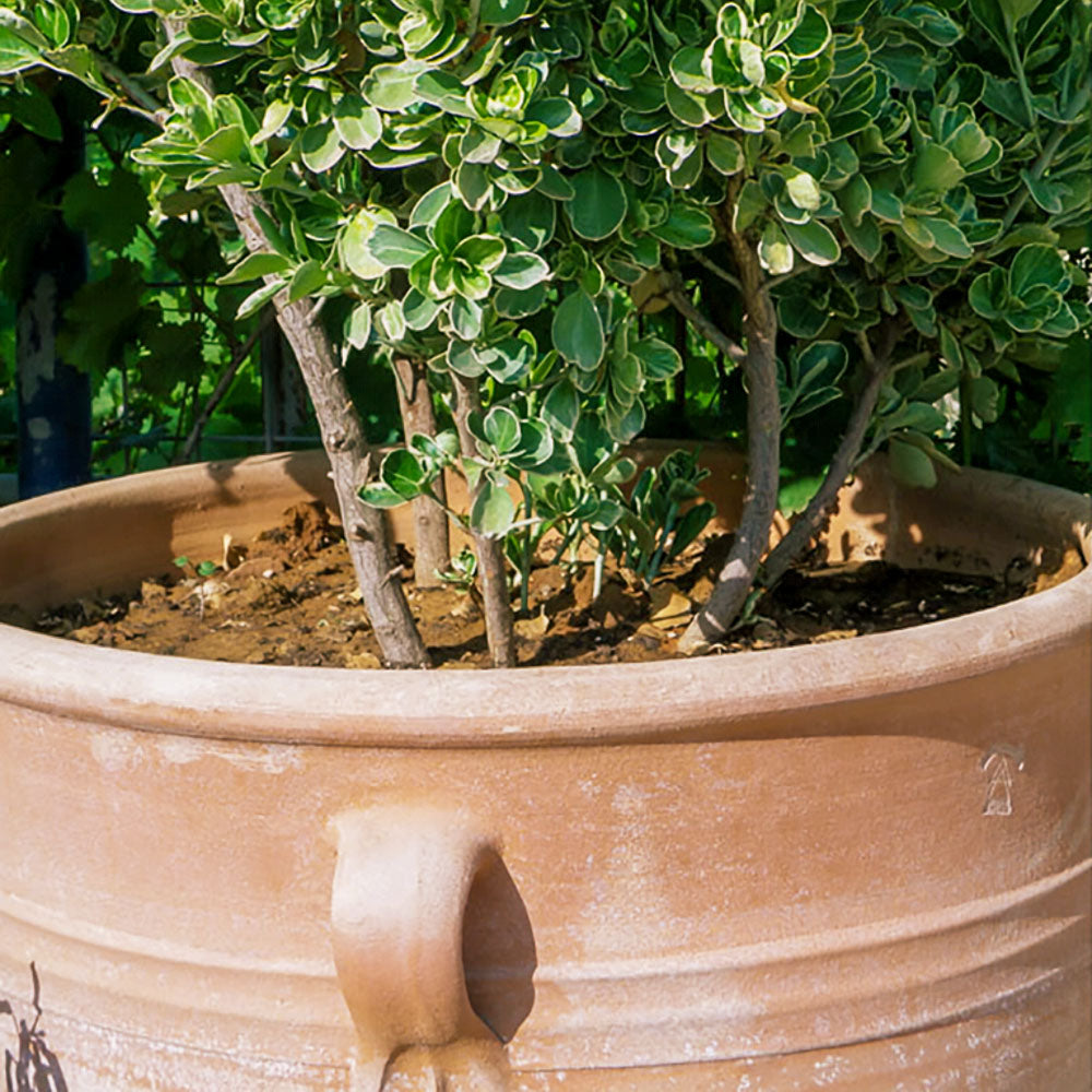 The Foalyard - Pithari Cretan Terracotta Large Frost-Proof Planters from H70 x D45cm high quality home garden decor - 50 years guarantee - The Terracotta Pot Company - Cretan Ceramics by Andonis Araviakis