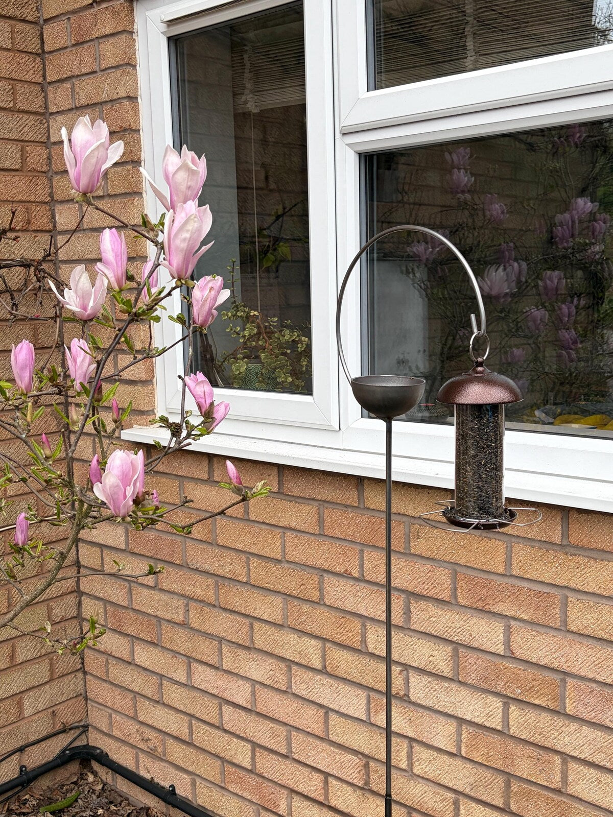 TheFoalyard - PoppyForge Freya Bird Crook Feeder British Made - customer photo
