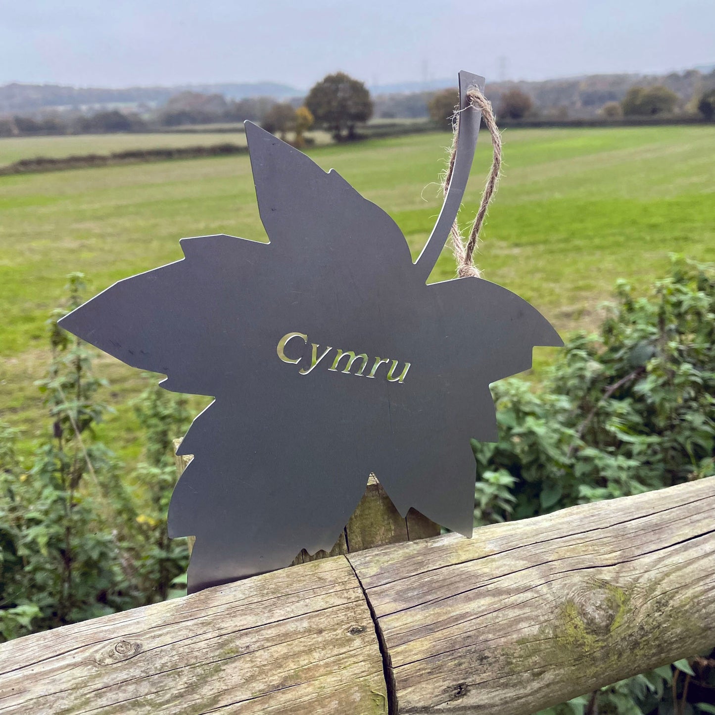 The Foalyard PoppyForge Falling Leaves Wales Welsh Cymru