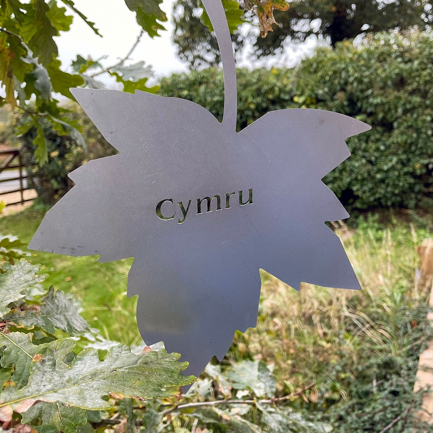 The Foalyard PoppyForge Falling Leaves Welsh Wales Cymru