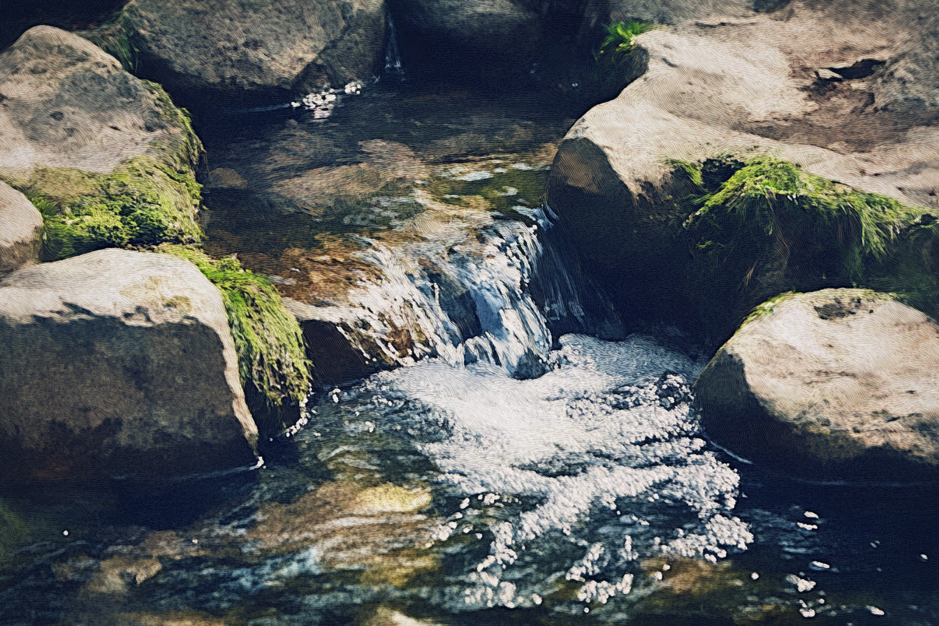 Tranquil Brook Canvas