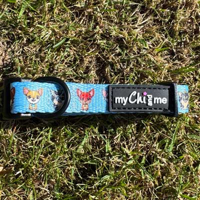 Blue Chihuahua Print Exclusive Designer Collar by My Chi and Me