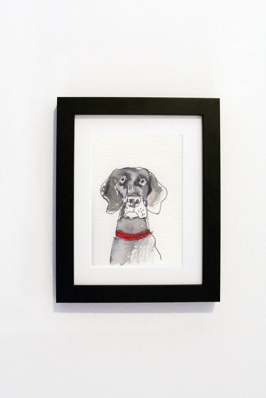 Robert James Clarke - Weimaraner Print