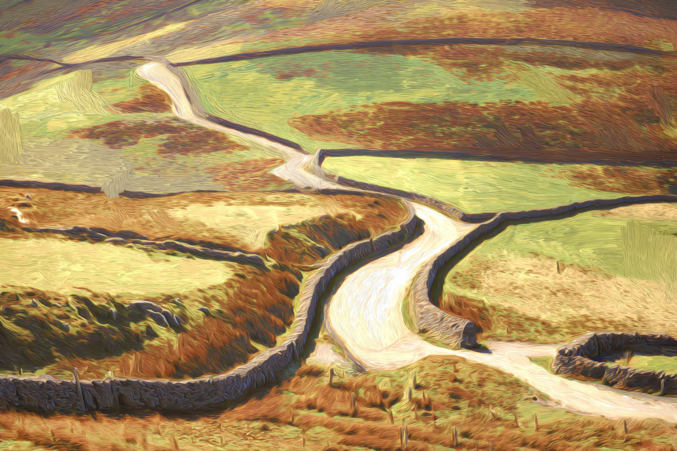 Winding Road Fields Canvas