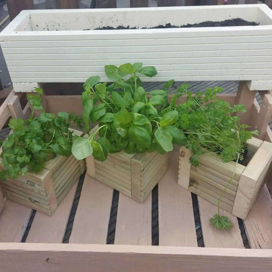 Wooden Decking herb planter boxes pack of 3